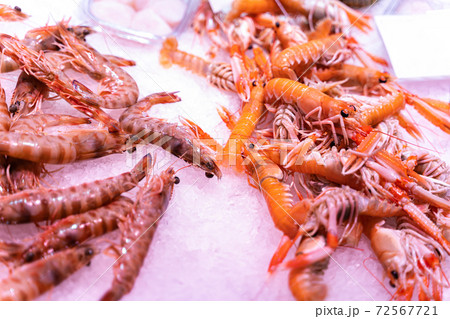 Different sorts of fish, crayfishes, crabs, molluscs, arthropods at fish market 72567721