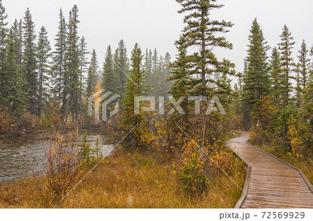 Snowing Policeman Creek Riverside Trail, Spring Creek Boardwalk in Late fall to early winter season. Town of Canmore, Alberta, Canada. 72569929