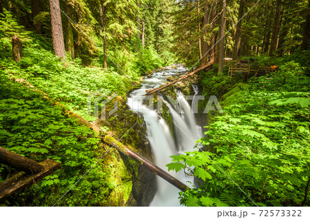 Sol Duc Falls in Olympic National Park, Washington Sol Duc Falls in Olympic National Park, Washington 72573322