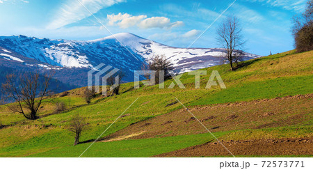 rural field on the hill in spring. snow capped mountain in the distance. beautiful carpathian landscape on a sunny day with fluffy clouds on the sky rural field on the hill in spring. snow capped mountain in the distance. beautiful carpathian landscape on a sunny day with fluffy clouds on the sky 72573771