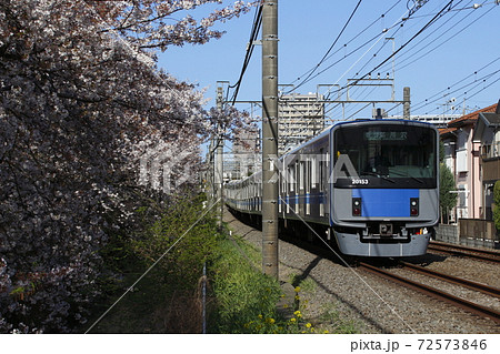 春の石神井川桜並木を行く西武新宿線20000系電車(東京都練馬区) 春の石神井川桜並木を行く西武新宿線20000系電車(東京都練馬区) 72573846