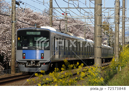 桜並木を行く、西武新宿線20050系(各停-8両編成) 桜並木を行く、西武新宿線20050系(各停-8両編成) 72573848