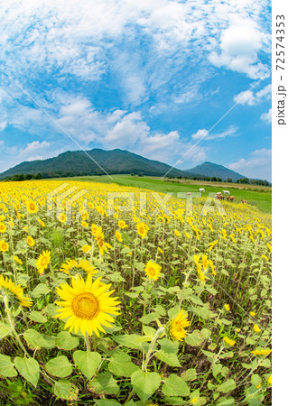 蒜山高原の夏イメージ 72574353
