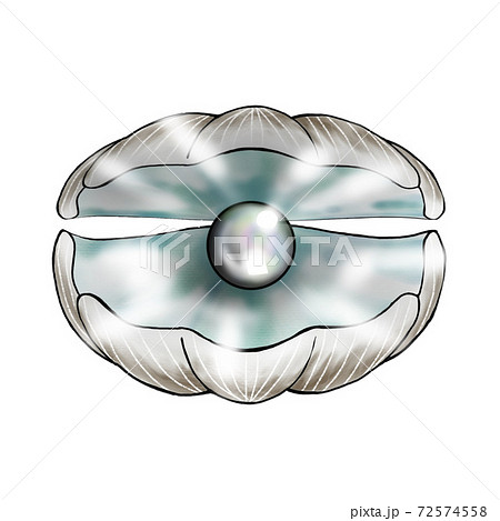 真珠と真珠貝のイラスト素材
