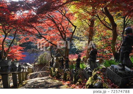 11月　伊勢原24大山寺の紅葉(参道の仏像群) 72574788