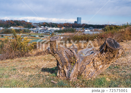 高台の畑から見渡す住宅街　農地に進む住宅街 72575001