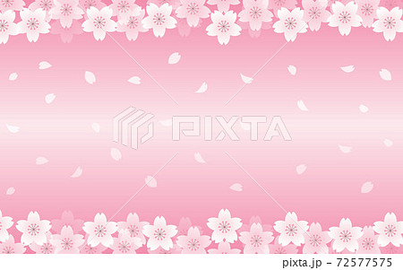 桜の背景イラスト　花びら　サクラ　春　イラスト素材 72577575