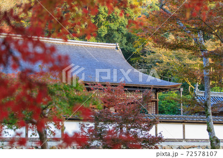 紅葉の名所正暦寺 紅葉の名所正暦寺 72578107