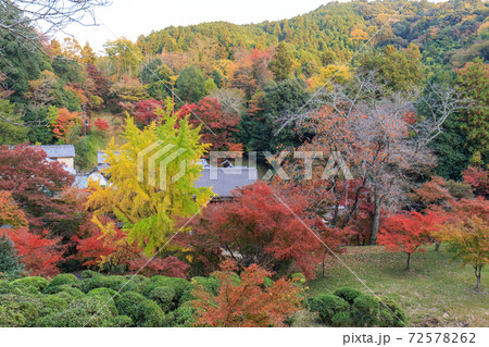 正暦寺紅葉 72578262