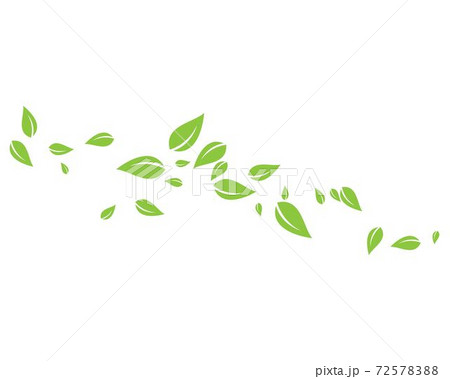 Leaf background vector Leaf background vector 72578388