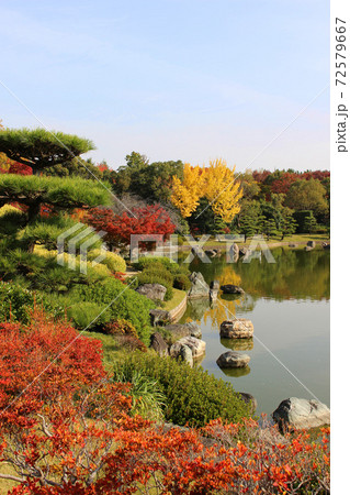 紅葉の大仙公園日本庭園の写真素材