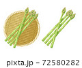 アスパラガスのイラスト 72580282
