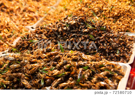 Worms and fried insects Spicy stir-fry at a market in Thailand that is Thai food. And has a lot of natural proteins. Worms and fried insects Spicy stir-fry at a market in Thailand that is Thai food. And has a lot of natural proteins. 72580710