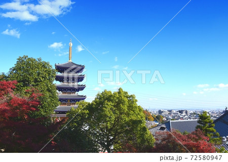 中山寺 堂塔伽藍・五重塔 中山寺 堂塔伽藍・五重塔 72580947