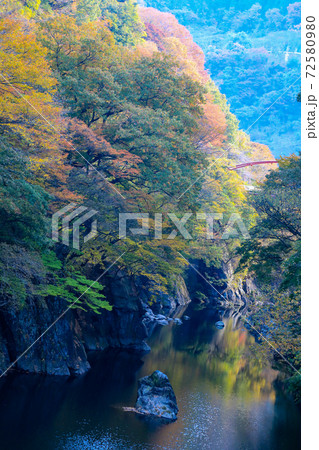 渡良瀬渓谷紅葉 渡良瀬渓谷紅葉 72580980