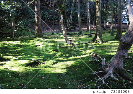 那谷寺境内の風景 72581008