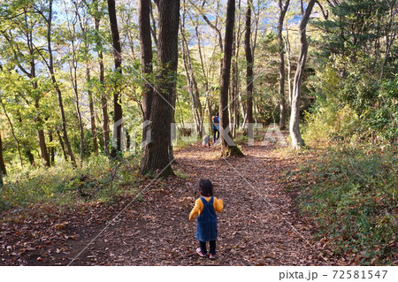 秦野の山道を歩く父娘 秦野の山道を歩く父娘 72581547