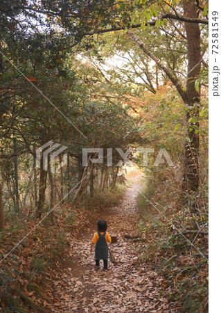 秦野　木のトンネルを歩く女の子 72581549