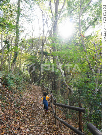 弘法山公園の山道を登る女の子 弘法山公園の山道を登る女の子 72581553