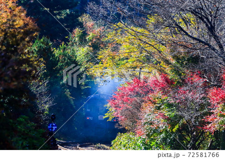 秋を走る！渡良瀬渓谷鉄道 72581766