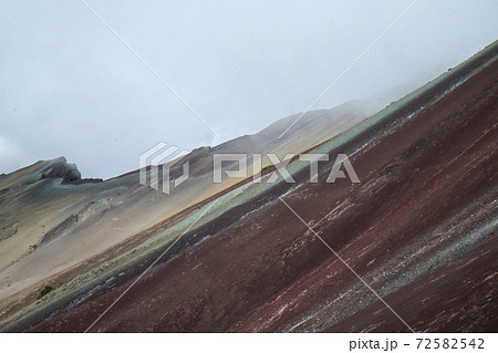 南米ペルーの秘境アンデス山脈に突如現れるレインボーマウンテン(ビニクンカ山)高山植物と動物 南米ペルーの秘境アンデス山脈に突如現れるレインボーマウンテン(ビニクンカ山)高山植物と動物 72582542