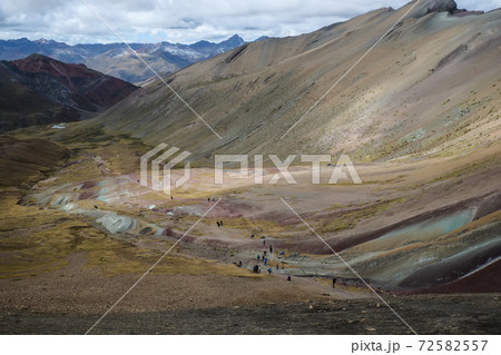 南米ペルーの秘境アンデス山脈に突如現れるレインボーマウンテン（ビニクンカ山）高山植物と動物 72582557