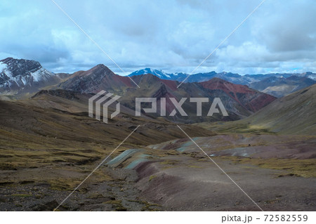 南米ペルーの秘境アンデス山脈に突如現れるレインボーマウンテン（ビニクンカ山）高山植物と動物 72582559