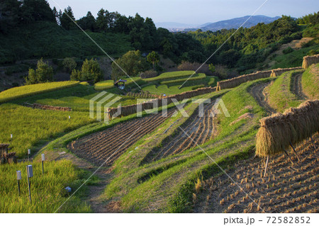 千早赤阪村の棚田 千早赤阪村の棚田 72582852