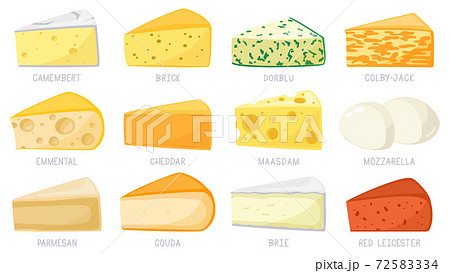 Cartoon cheese types. Cheese triangles, cheddar, brie, mozzarella, parmesan, camembert and brick. Tasty cheese vector illustration set Cartoon cheese types. Cheese triangles, cheddar, brie, mozzarella, parmesan, camembert and brick. Tasty cheese vector illustration set 72583334