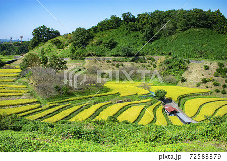 千早赤阪村の棚田の写真素材