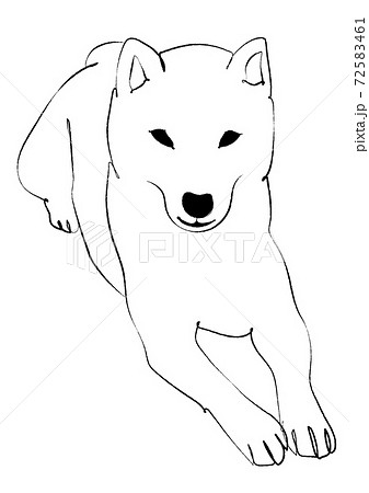 伏せの姿勢の日本犬 手描き風線画のイラスト素材