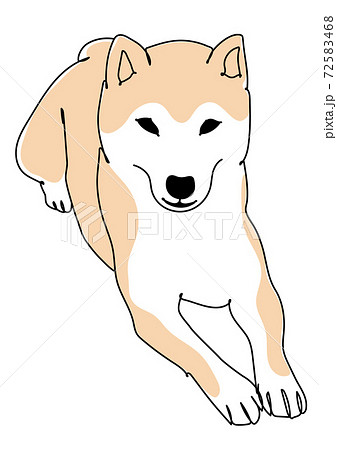 伏せの姿勢の柴犬 線画のイラスト素材