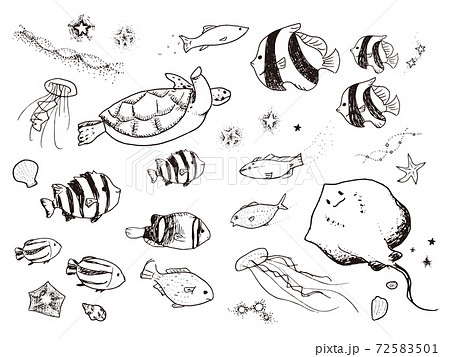 かわいいペン画の海の生き物のイラスト素材