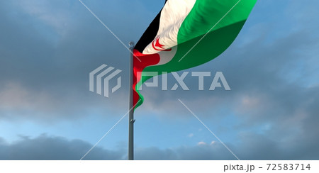 3d rendering of the national flag of the Sahrawi Arab 72583714