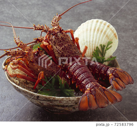 伊勢海老 伊勢海老 72583796