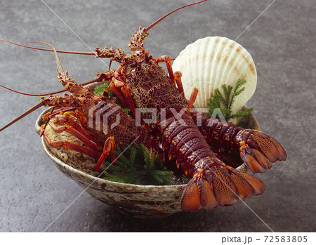 伊勢海老 72583805