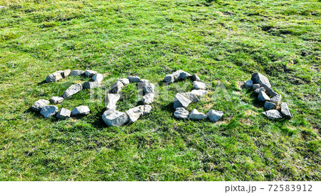 2021 text made by stones on green grass. Ecology concept. New year. 72583912