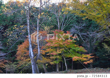 秋の山縣有朋記念館 #90 秋の山縣有朋記念館 #90 72584313