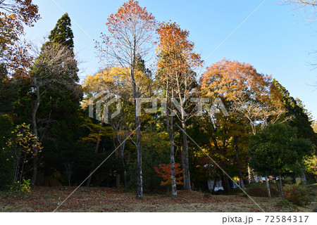 秋の山縣有朋記念館　　＃87 72584317