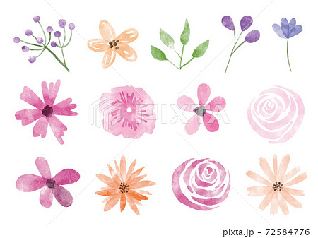 Beautiful Flowers Watercolor Stock Illustration