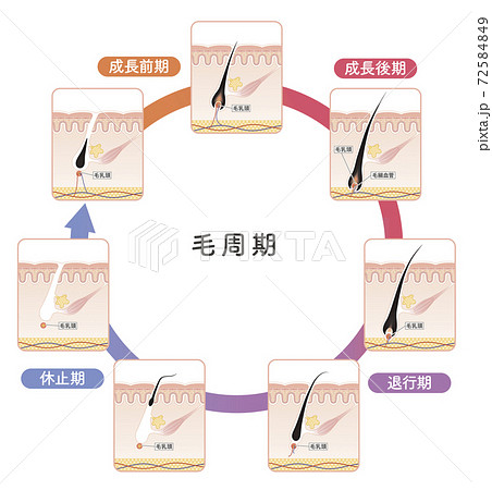 Cross section of the skin 18 front Cross section of the skin 18 front 72584849