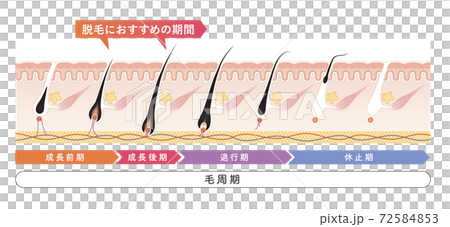 Cross section of the skin 16 front Cross section of the skin 16 front 72584853