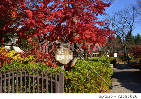 都立陵南公園 紅葉 八王子市 都立陵南公園 紅葉 八王子市 72585026