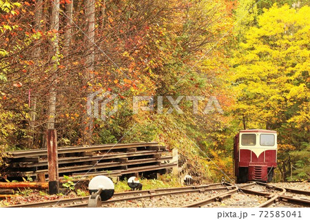 赤沢森林鉄道(木曽森林鉄道)酒井ボギーディーゼルカー特別運行 赤沢森林鉄道(木曽森林鉄道)酒井ボギーディーゼルカー特別運行 72585041