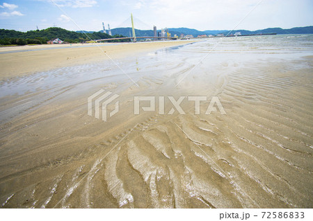 浜の宮ビーチ 72586833