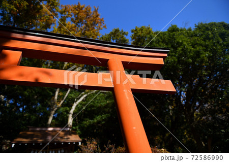 神木山等覚院境内の紅葉 72586990