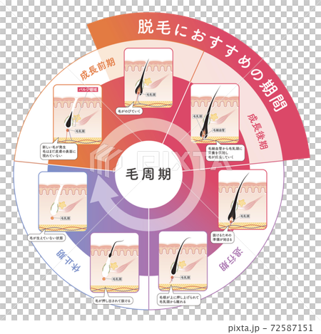 全身 通體 全體 72587151
