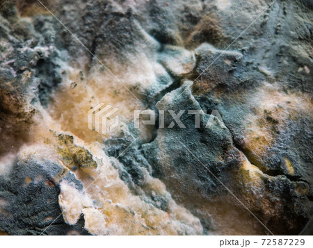Stone covered with various mildew Stone covered with various mildew 72587229