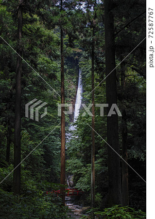 神奈川県/ 掛け軸に描かれたような滝「洒水の滝」 72587767