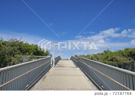 【藤沢市】辻堂海浜公園前の歩道橋 72587768